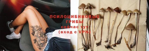 ешки Нефтекумск