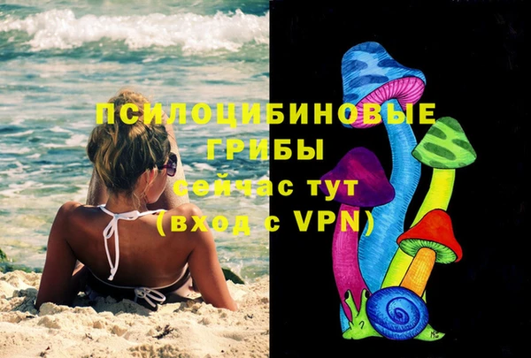 индика Надым