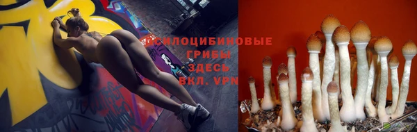 jwh Нея