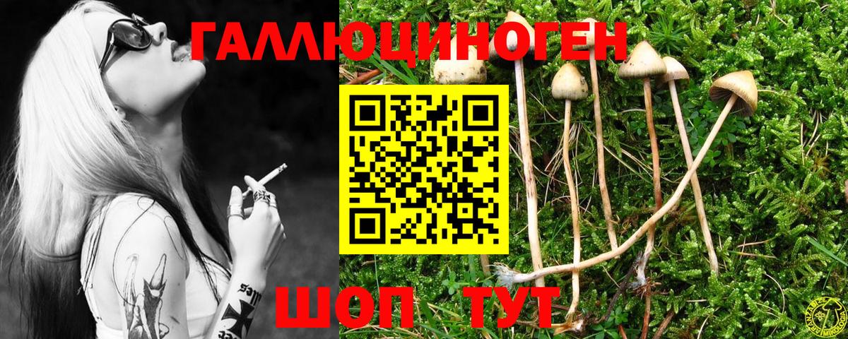Псилоцибиновые грибы GOLDEN TEACHER  Красноуфимск  Псилоцибиновые грибы Psilocybe 