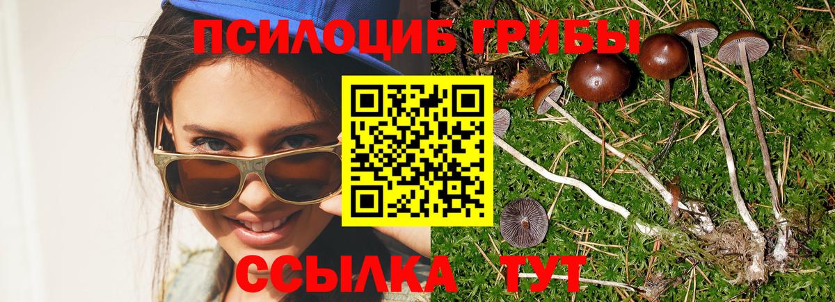 Псилоцибиновые грибы GOLDEN TEACHER Красноуфимск