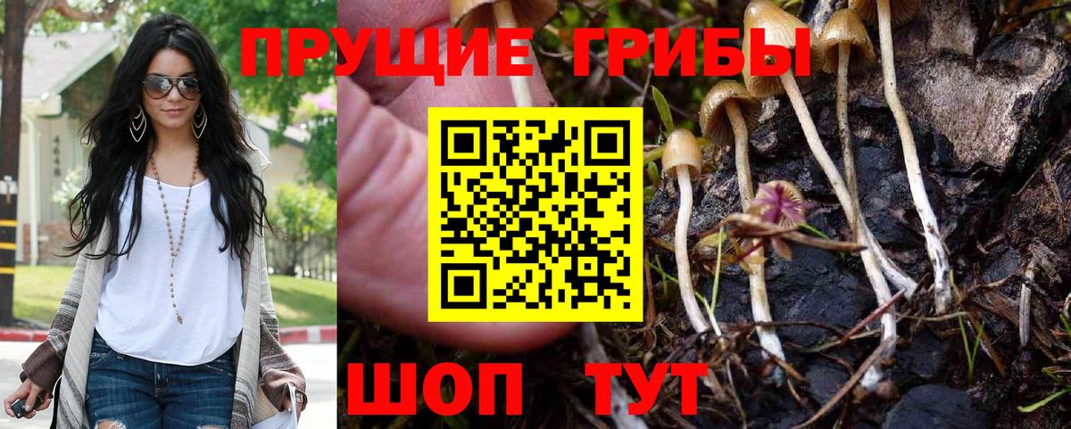 Псилоцибиновые грибы Magic Shrooms  Вход с VPN  Красноуфимск 