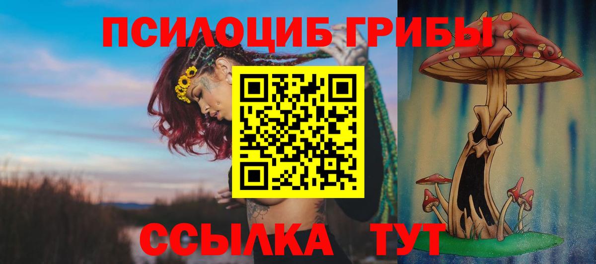Псилоцибиновые грибы Psilocybe Красноуфимск